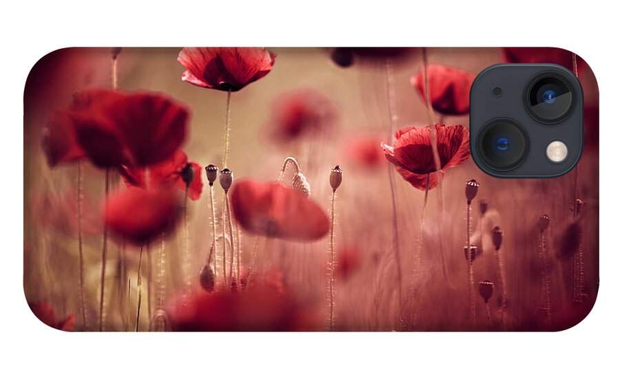 Poppy iPhone 13 Case featuring the photograph Summer Poppy by Nailia Schwarz