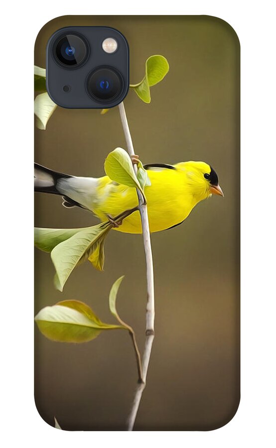 Goldfinch iPhone 13 Case featuring the painting American Goldfinch by Christina Rollo