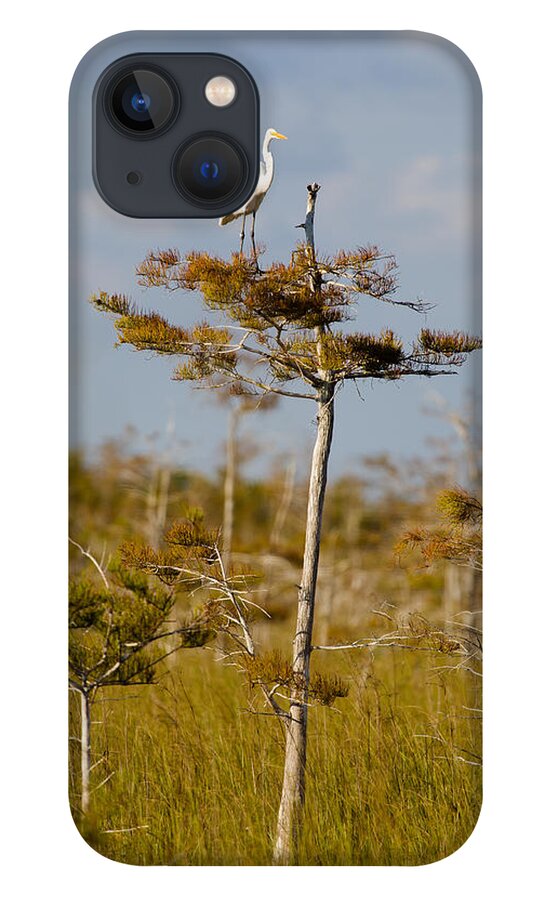 Egret iPhone 13 Case featuring the photograph Great White Egret by Raul Rodriguez