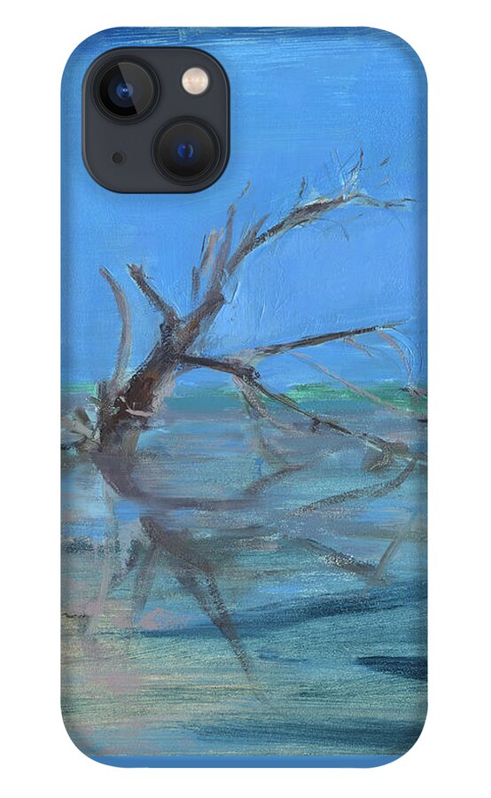 Florida iPhone 13 Case featuring the painting Untitled #529 by Chris N Rohrbach