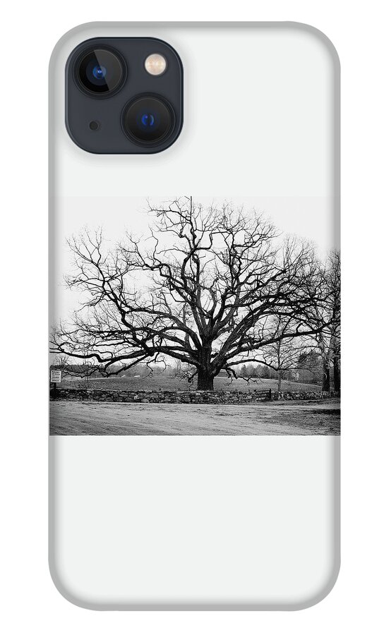A Bare Oak Tree iPhone 13 Case