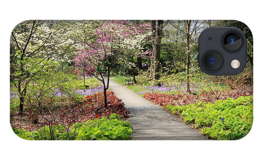 Artwork iPhone 13 Case featuring the photograph A Beautiful Spring Walk by Trina Ansel