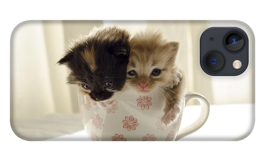 Cute iPhone 13 Case featuring the photograph A cup of cuteness by Spikey Mouse Photography