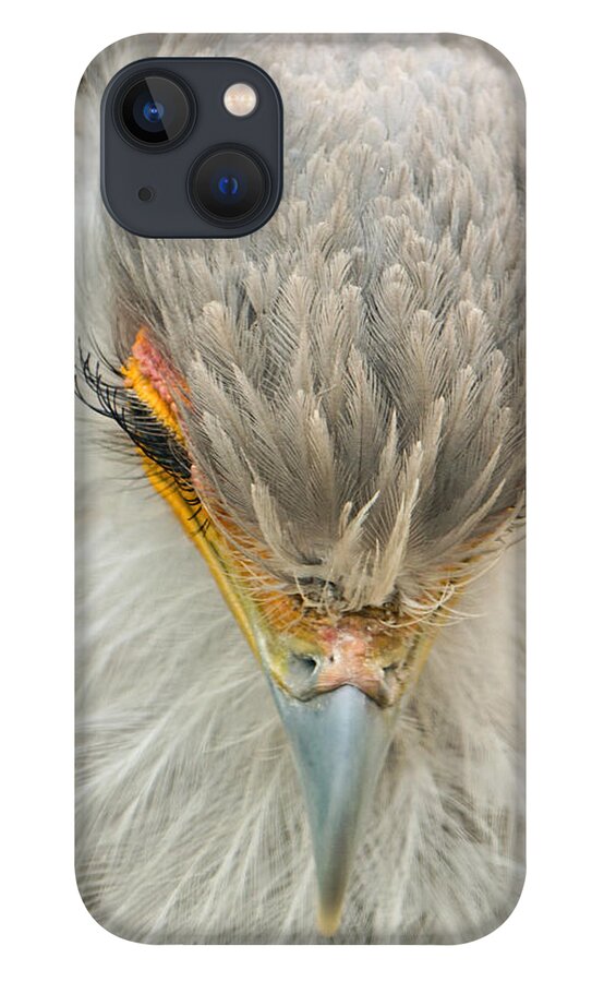 Secretary Bird iPhone 13 Case featuring the photograph A Demure Look by Theo OConnor
