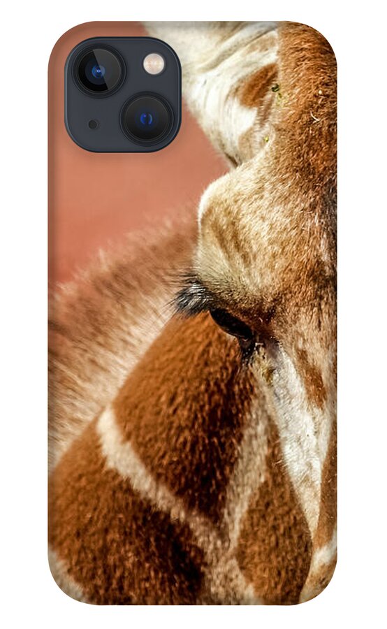 Animals iPhone 13 Case featuring the photograph A Giraffe by Ernest Echols