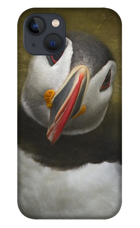 Festblues iPhone 13 Case featuring the photograph A Portrait of the Clown of the Sea by Nina Stavlund