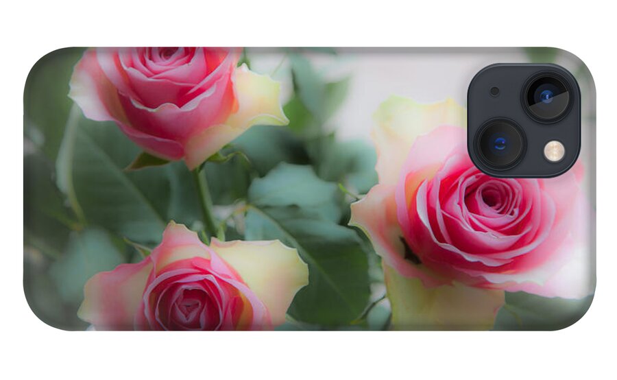 Three Roses iPhone 13 Case featuring the photograph A rose and a rose and a rose by Casper Cammeraat