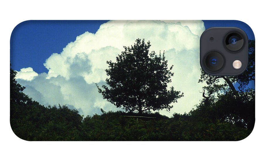 Tree iPhone 13 Case featuring the photograph A Tree in a Cloud by Gordon James