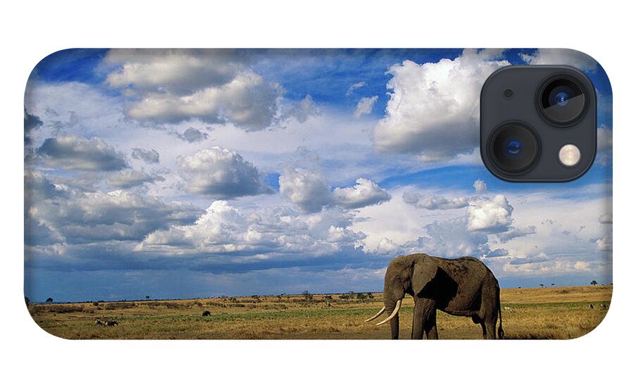 00344759 iPhone 13 Case featuring the photograph African Elephant Walking in Masai Mara by Yva Momatiuk John Eastcott