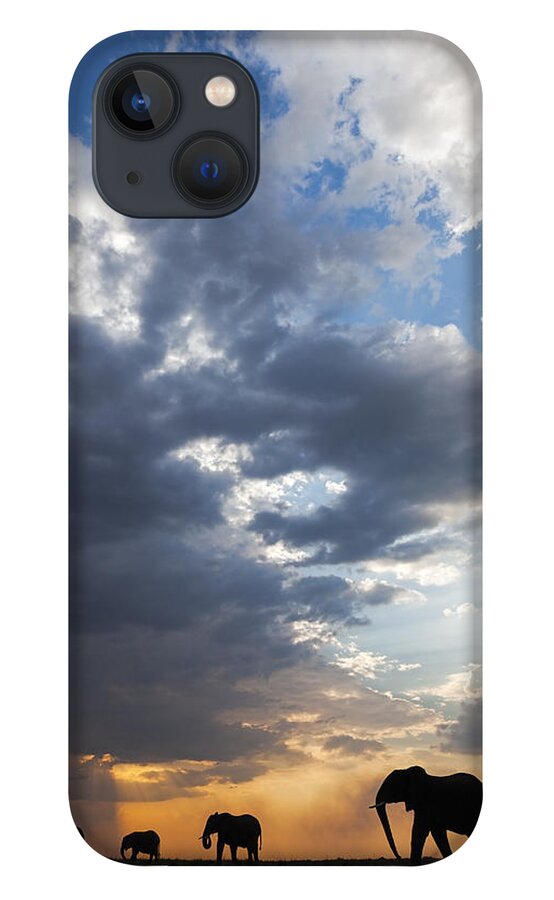 Vincent Grafhorst iPhone 13 Case featuring the photograph African Elephants At Sunset Botswana by Vincent Grafhorst