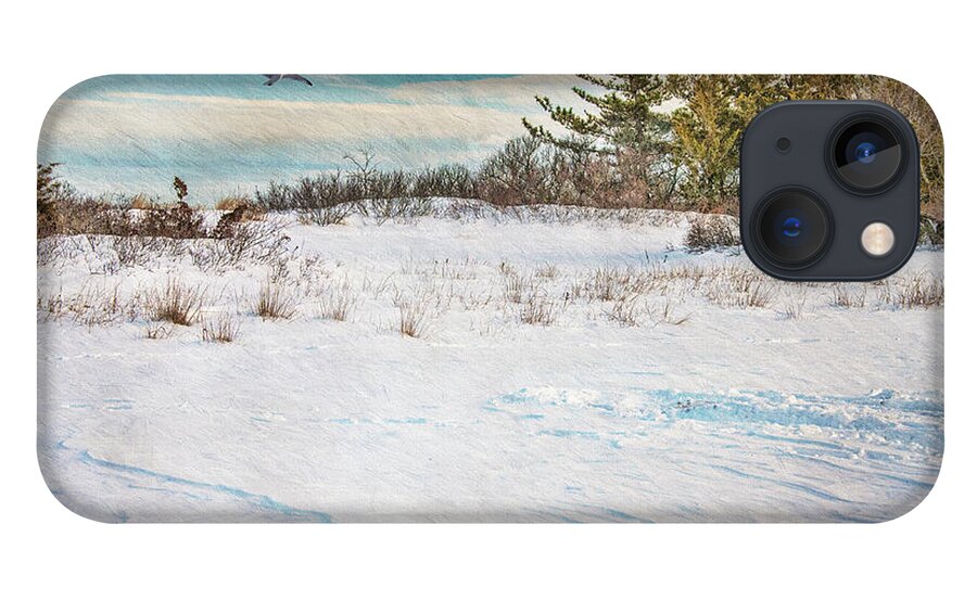 Beach iPhone 13 Case featuring the photograph After The Blizzard by Cathy Kovarik