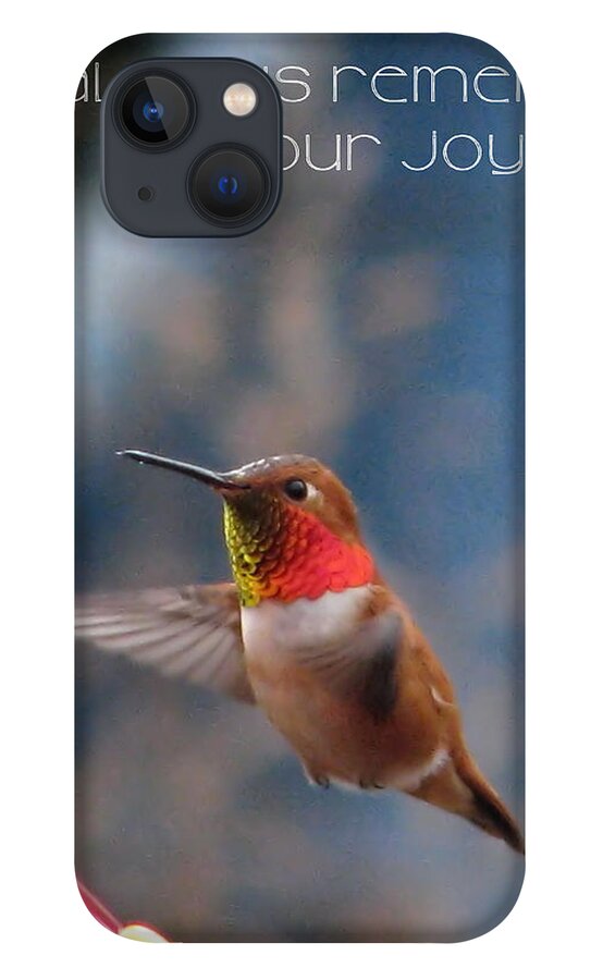 Hummingbirds iPhone 13 Case featuring the photograph Always Remember Your Joy by Rory Siegel