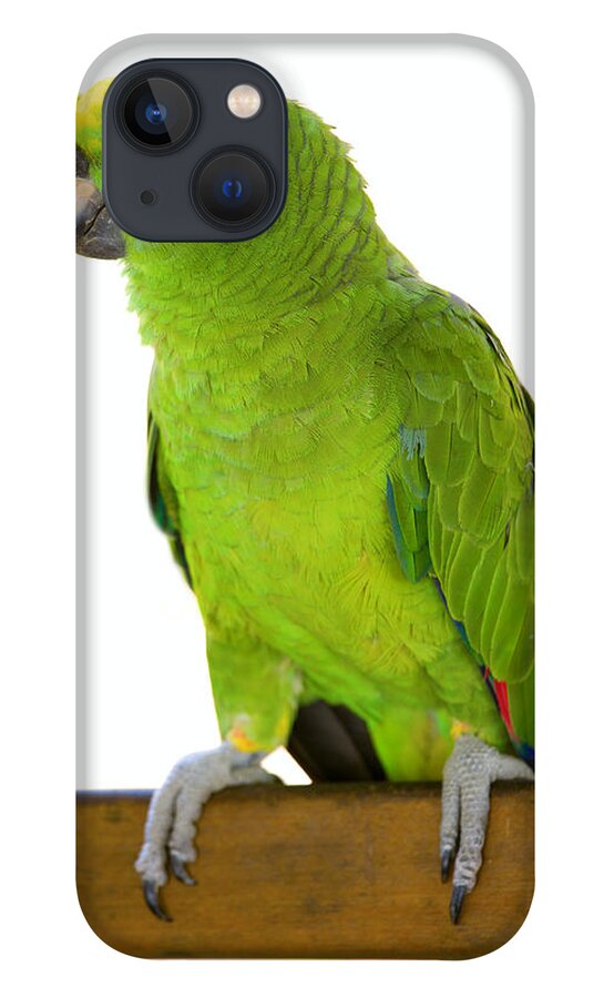 Parrot iPhone 13 Case featuring the photograph Amazon parrot by Alexey Stiop