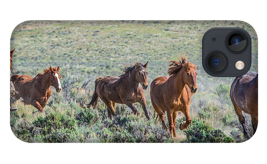 2014 iPhone 13 Case featuring the photograph American Cowboy Wild Horse Roundup by Phillip Rubino