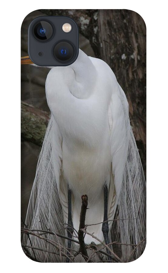 Photo Photographs iPhone 13 Case featuring the photograph American Egret by Jim E Johnson