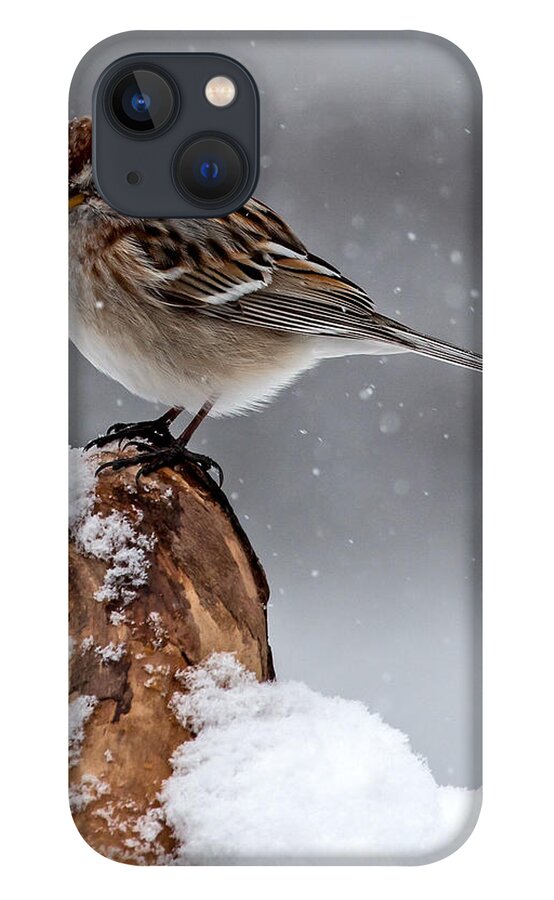 American Tree Sparrow iPhone 13 Case featuring the photograph American Tree Sparrow in Snow by Dawn Key