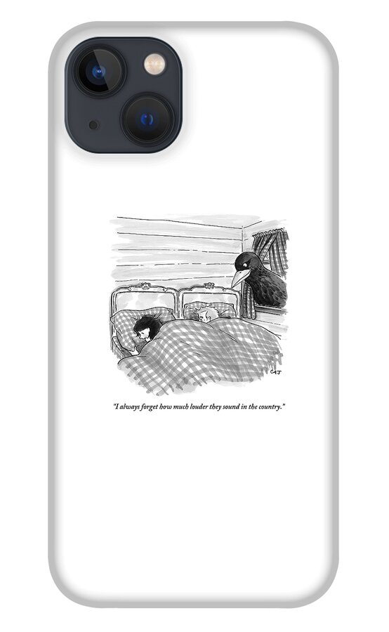 An Overly Large Bird Peers Into The Bedroom iPhone 13 Case