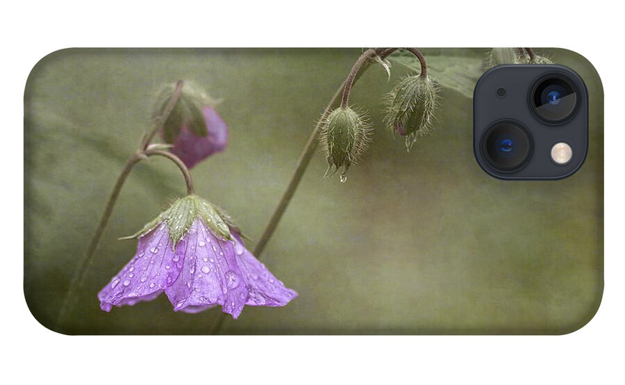 Wildflower iPhone 13 Case featuring the photograph Antecedent Bloom by Dale Kincaid