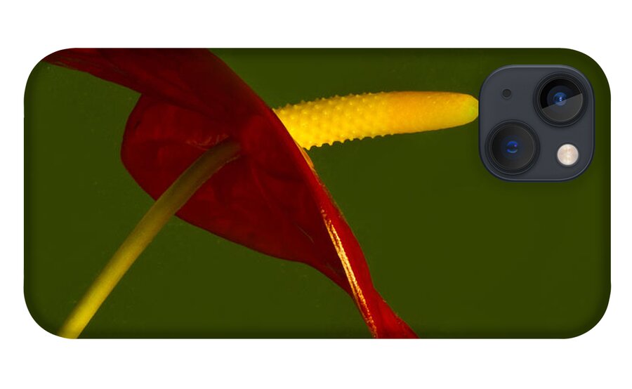Anthurium iPhone 13 Case featuring the photograph Anthurium by Bill Barber