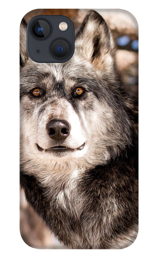 Nature iPhone 13 Case featuring the photograph Apache by Elin Skov Vaeth