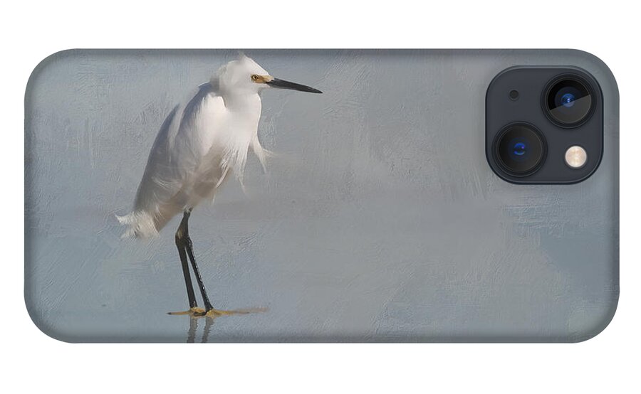 Snowy iPhone 13 Case featuring the photograph Artistic Snowy Egret by Jayne Carney