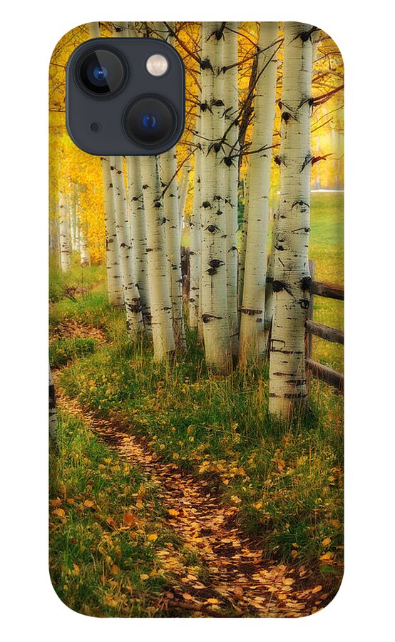 Aspen iPhone 13 Case featuring the photograph Aspen Path by Ronda Kimbrow