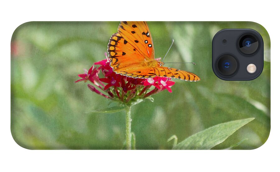 Butterfly iPhone 13 Case featuring the photograph At Rest - Gulf Fritillary Butterfly by Kim Hojnacki