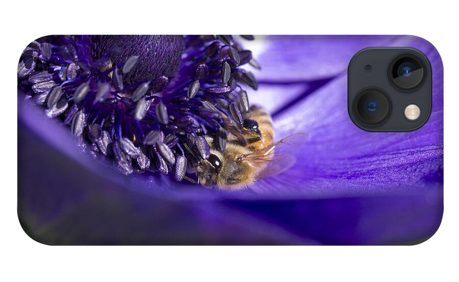 Anemone iPhone 13 Case featuring the photograph At Work by Priya Ghose