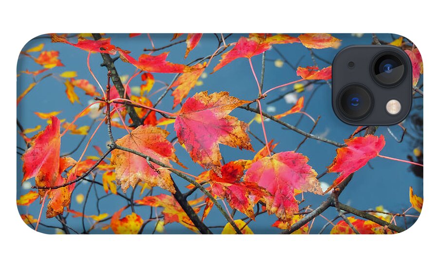 Autumn iPhone 13 Case featuring the photograph Autumn Leaves by Robert Mitchell