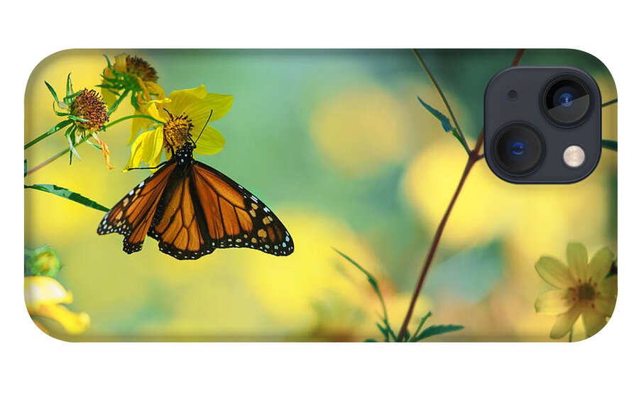 Monarch iPhone 13 Case featuring the photograph Autumn Monarch by Joel Olives