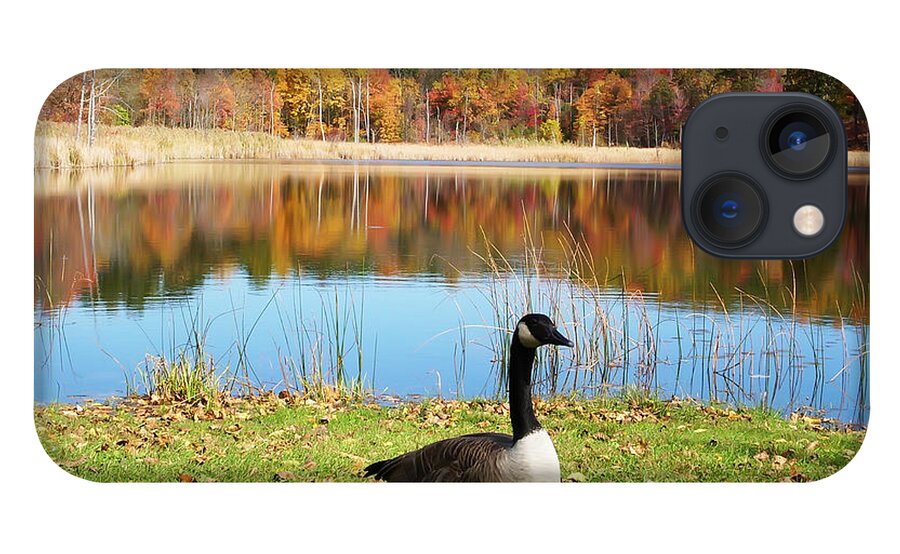 Autumn iPhone 13 Case featuring the photograph Autumn Pond Goose by Aimee L Maher ALM GALLERY