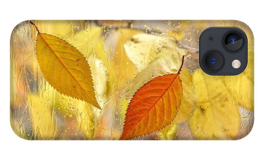 Fall Leaves iPhone 13 Case featuring the photograph Autumn Romance by Marina Kojukhova
