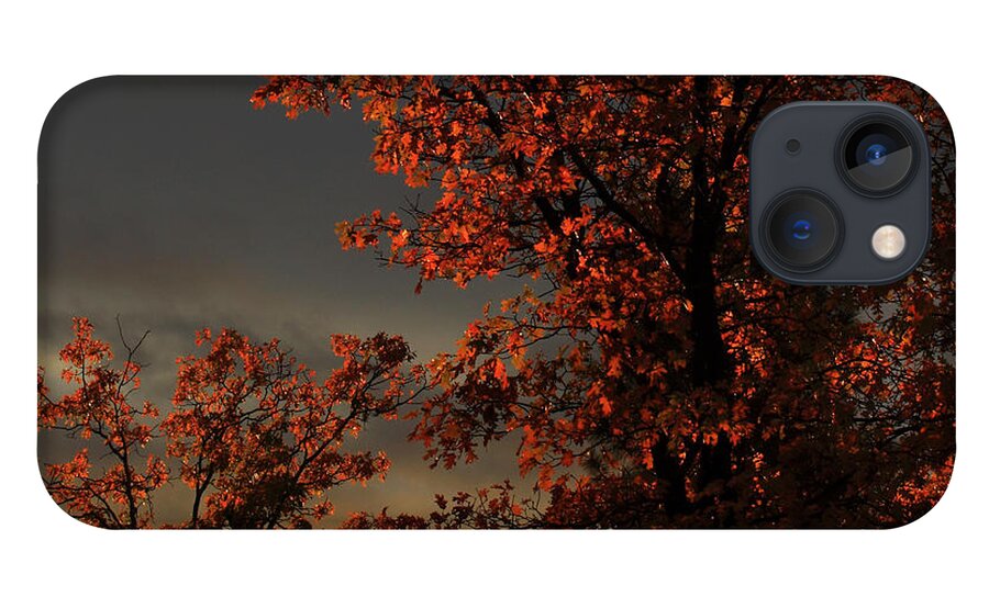 Autumn iPhone 13 Case featuring the photograph Autumn's First Light by James Eddy