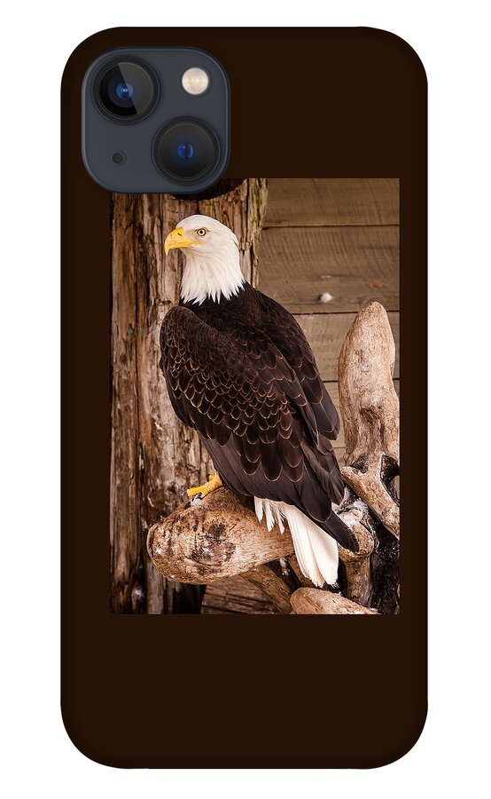 2008 iPhone 13 Case featuring the photograph Bald Eagle by Melinda Ledsome