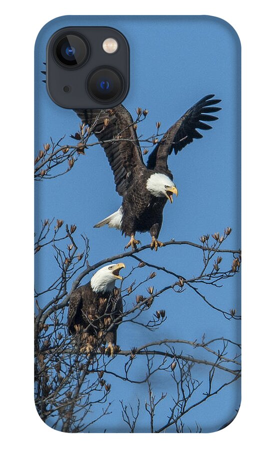 Marsh iPhone 13 Case featuring the photograph Bald Eagles Screaming DRB169 by Gerry Gantt
