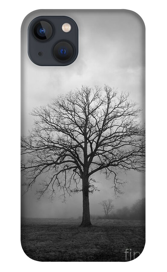 Tree iPhone 13 Case featuring the photograph Bare Tree And Clouds BW by David Gordon