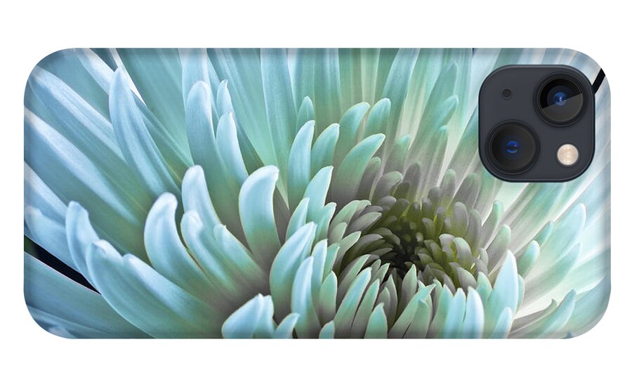 Acrylic iPhone 13 Case featuring the photograph Bathing in Blue by Jon Glaser