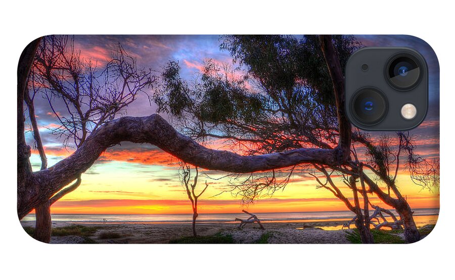 Sunset iPhone 13 Case featuring the photograph Beach Tree Sunset View by Mathias 