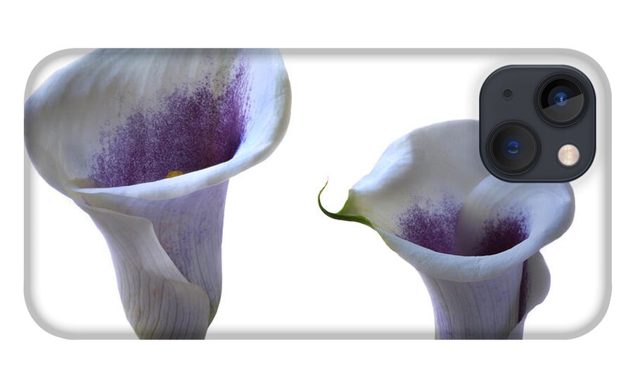 Calla Lily iPhone 13 Case featuring the photograph Beautiful Calla Lilies by Terence Davis