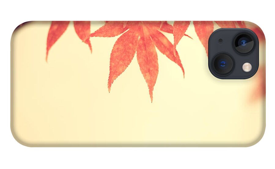 Autumn iPhone 13 Case featuring the photograph Beautiful Fall by Hannes Cmarits