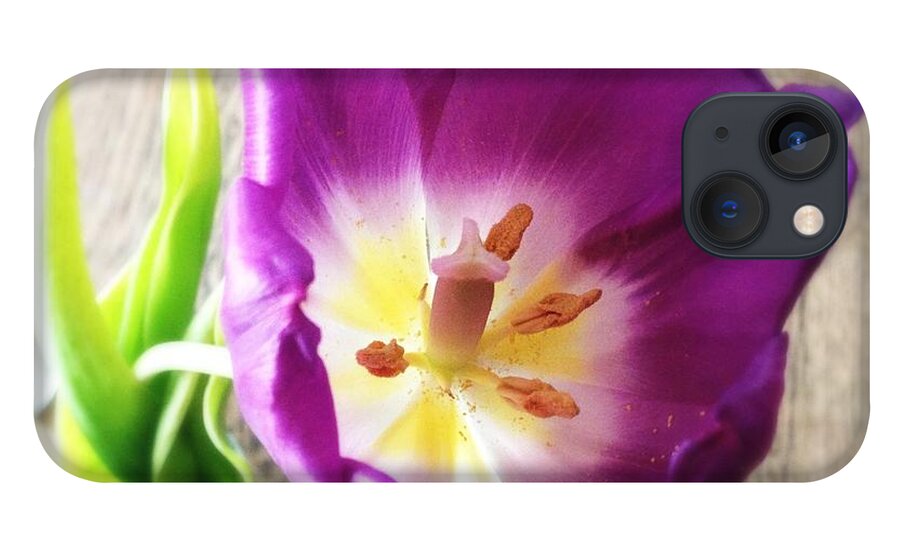 Flower iPhone 13 Case featuring the photograph Beautiful purple flower from above by Matthias Hauser