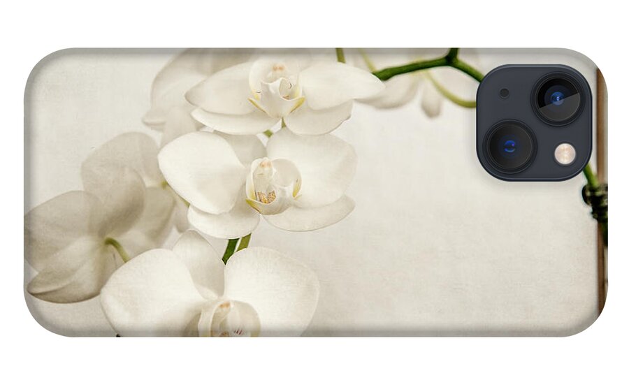 1x1 iPhone 13 Case featuring the photograph Beautiful white orchid II by Hannes Cmarits