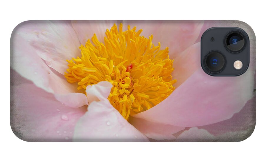 Flower iPhone 13 Case featuring the photograph Beauty Woven In by Judy Hall-Folde