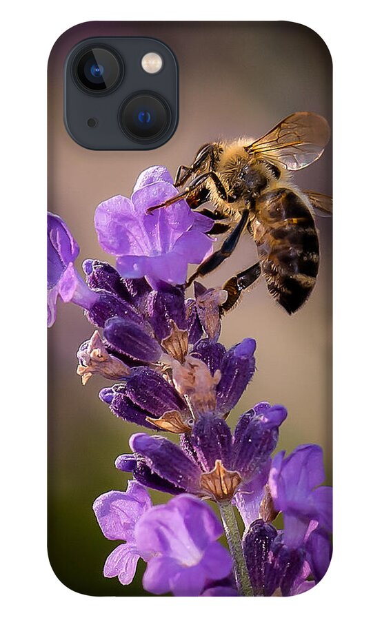 Bee iPhone 13 Case featuring the photograph Honeybee Working Lavender by Len Romanick
