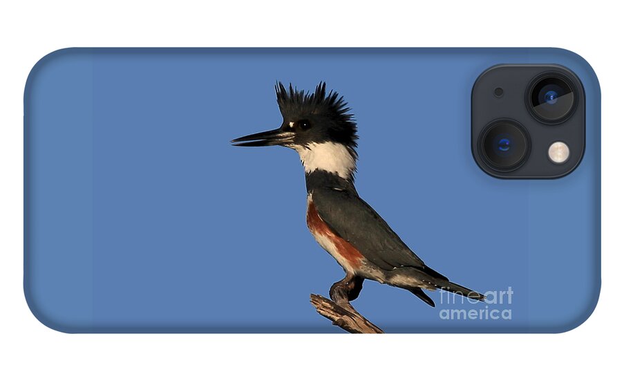 Belted Kingfisher iPhone 13 Case featuring the photograph Belted Kingfisher by Meg Rousher