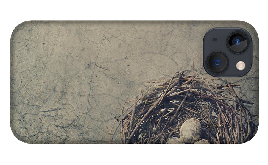 Bird iPhone 13 Case featuring the digital art Bird Nest by Jelena Jovanovic