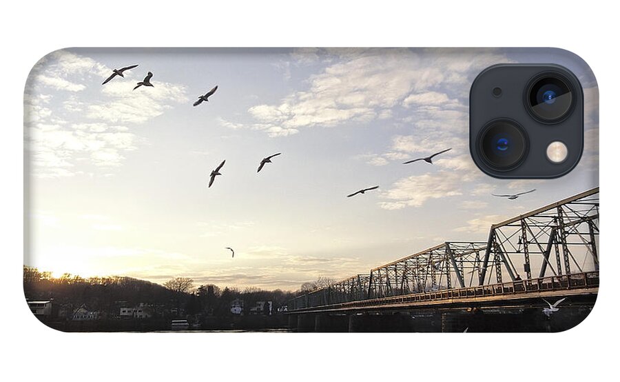 Birds iPhone 13 Case featuring the photograph Birds and Bridges by Christopher Plummer