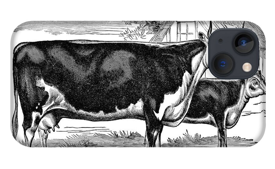 Engraving iPhone 13 Case featuring the digital art Black And White Pencil Sketch Of Cow by Nnehring