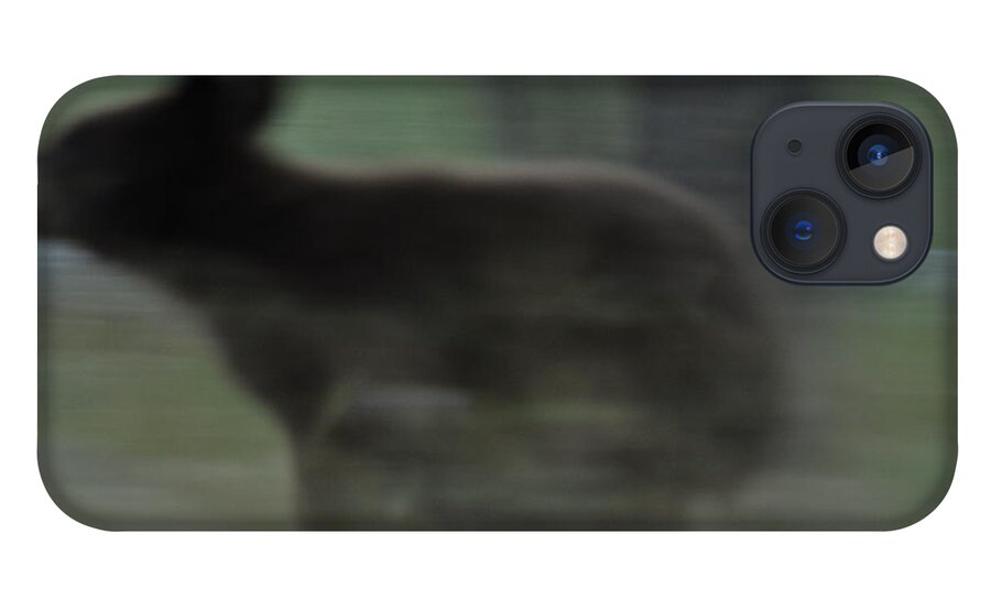 Black Bear iPhone 13 Case featuring the photograph Black Bear Cub Running by Frank Madia