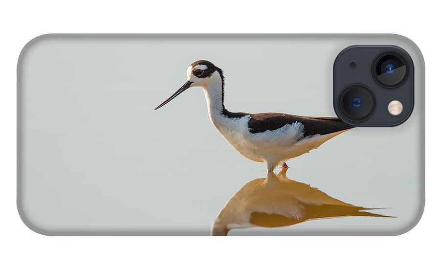 Bird iPhone 13 Case featuring the photograph Black-necked Stilt by Doug McPherson